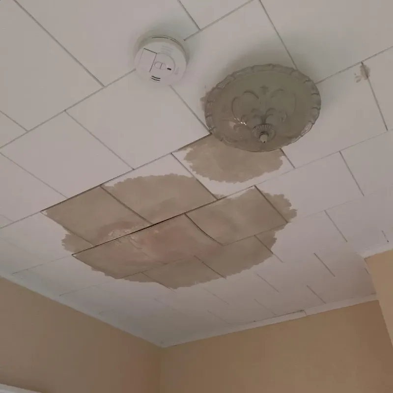 Ceiling Water Damage Repair in Van Meter, IA