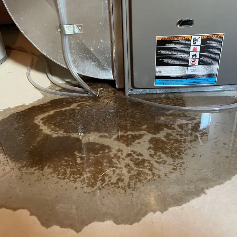 Pipe Burst and Leak Restoration in Van Meter, IA