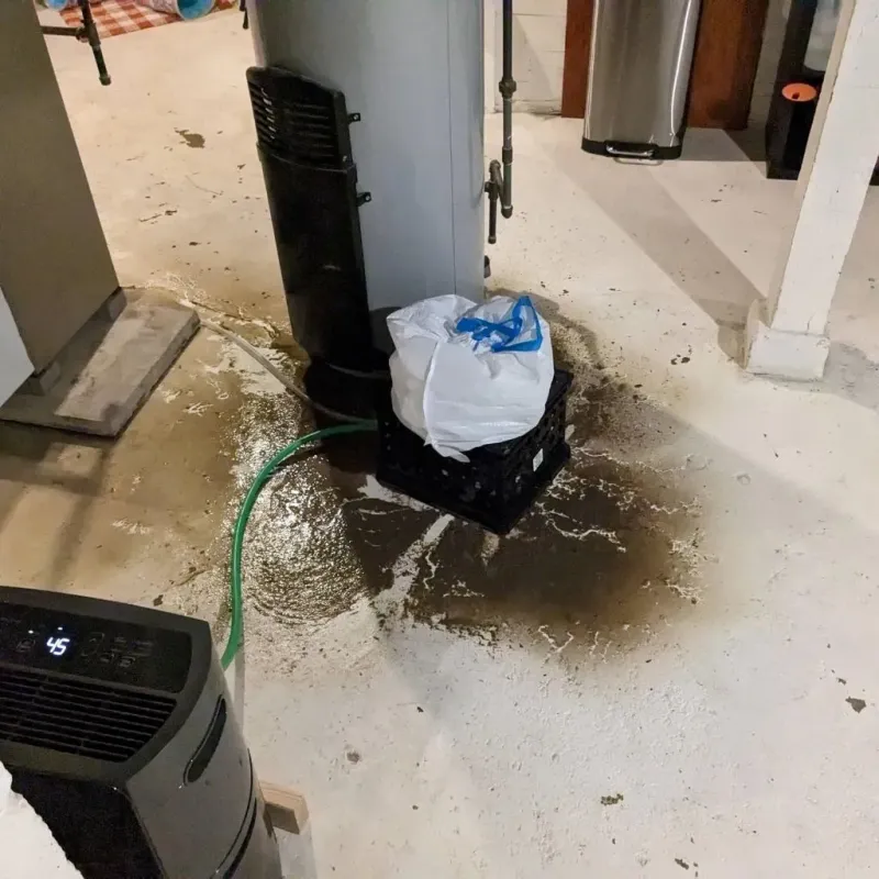 Sewage Backup Cleanup Service in Van Meter, IA